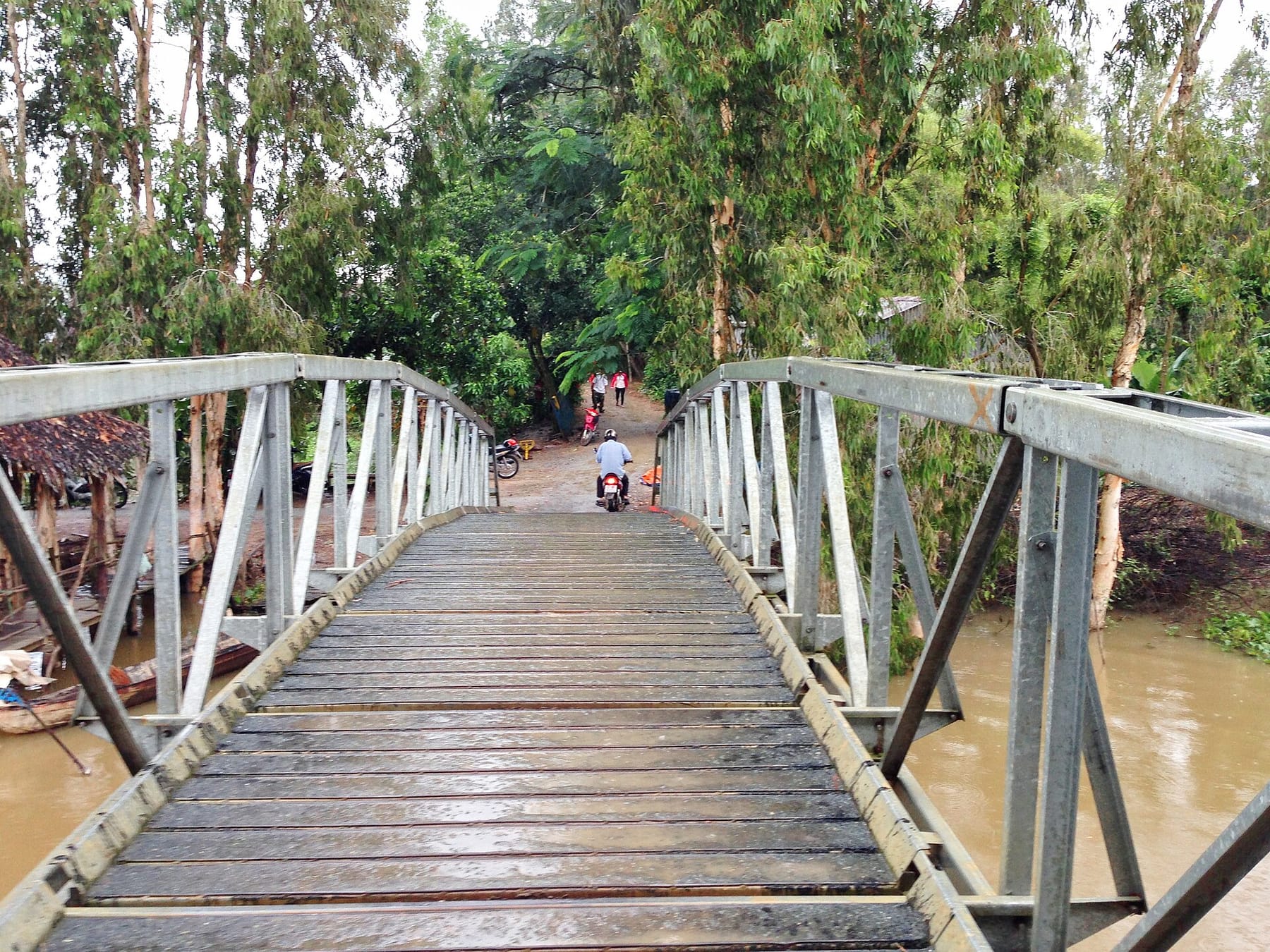Kênh nước giữa rừng tràm Trà Sư ở An Giang